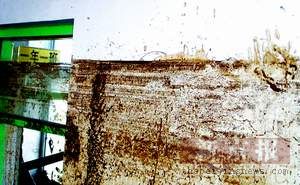 200561511413777641.jpg