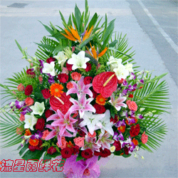 20056171617983278.gif