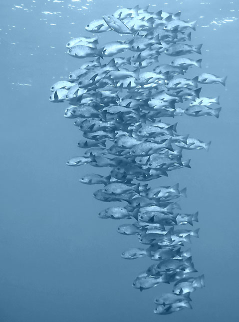 20056211124952213.jpg