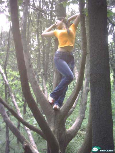 20056249262734371.jpg