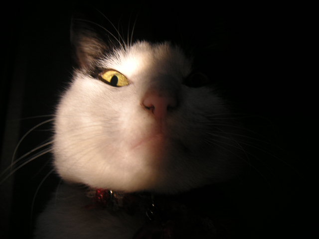 200562618463634797.jpg