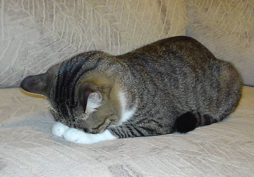 20056261846416421.jpg
