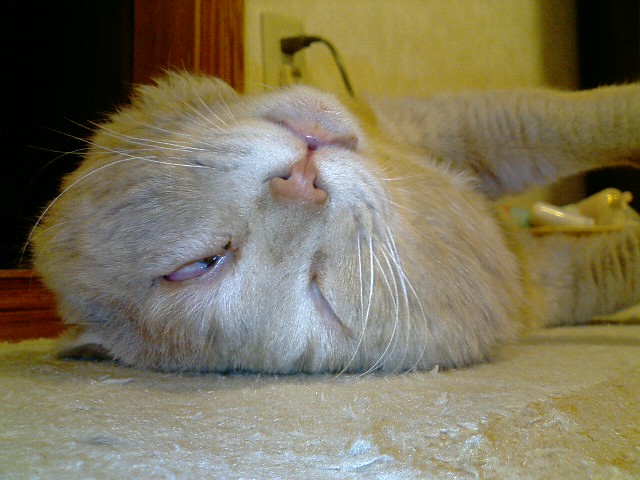 200562618471164636.jpg