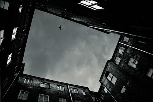 20056413531159951.jpg