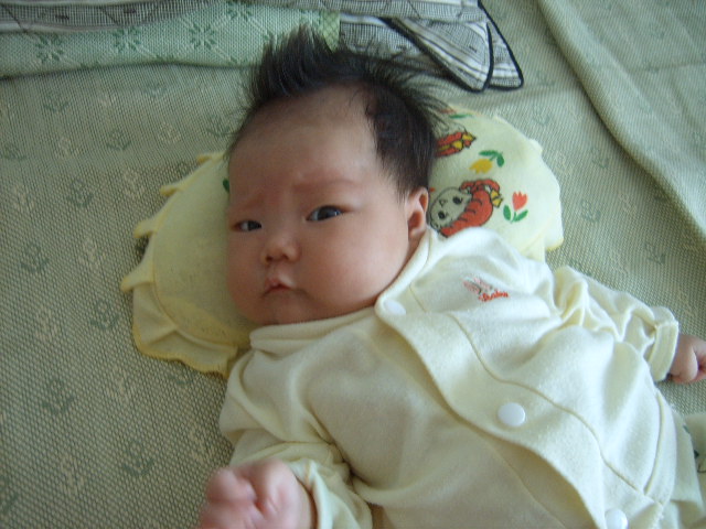 200572022304042663.jpg
