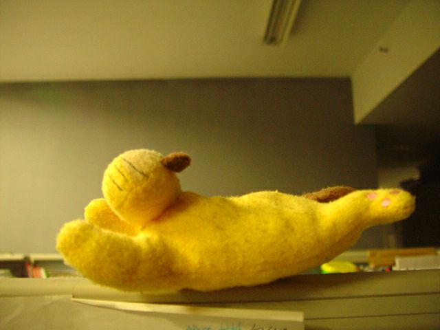 20057224153166314.jpg