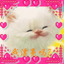 2005761695454892.gif