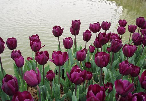 2006-4/20064921213567366.jpg