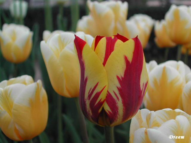 2006-5/20065417181795877.jpg