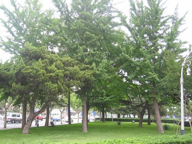 2006-7/200671119382742530.jpg