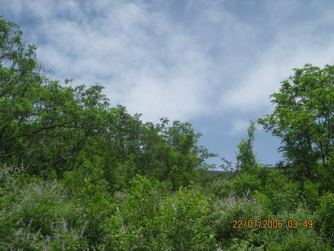 2006-7/20067230425873986.jpg