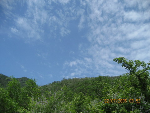2006-7/20067230432145334.jpg