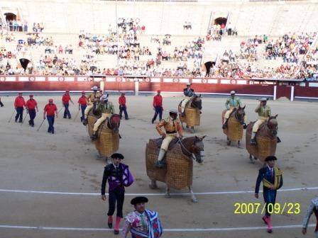 100_4684.jpg
