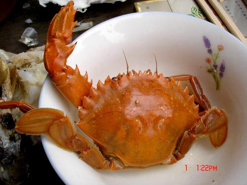 ˵з.jpg