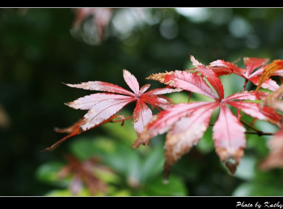 img_2769.jpg