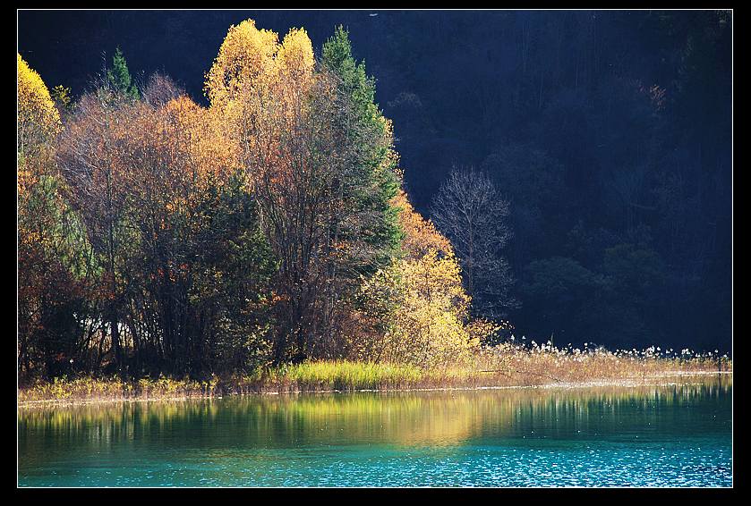 dsc_0816a.jpg