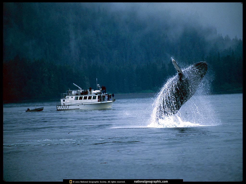 alaska.jpg