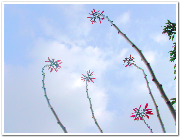dscn0920.jpg