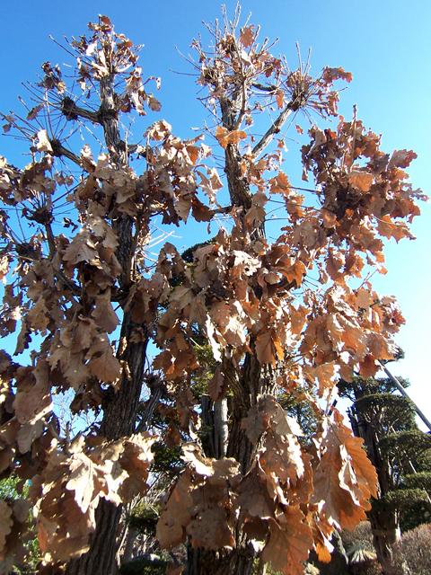 100_7194.jpg