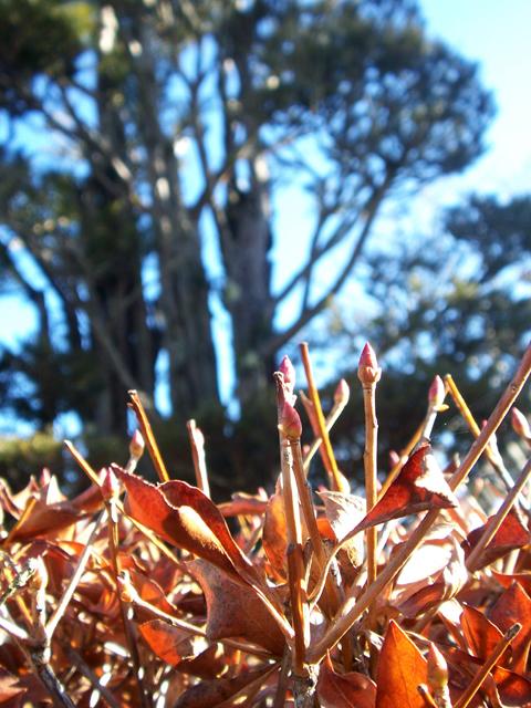 100_7197.jpg