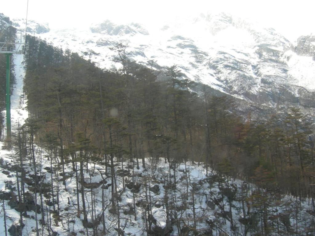 2007-2/20072230555057216.jpg