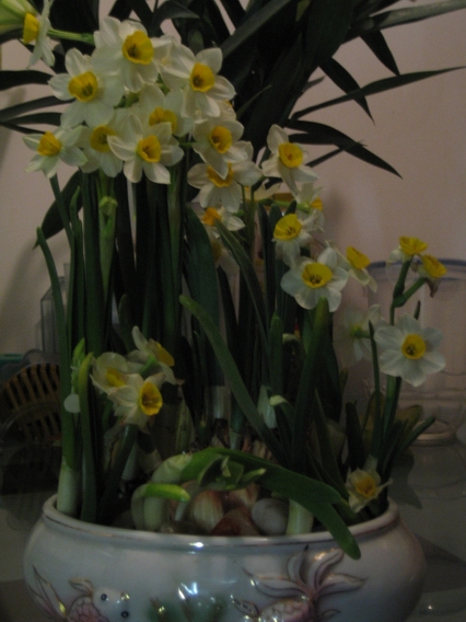 2007-2/20072231552878013.jpg