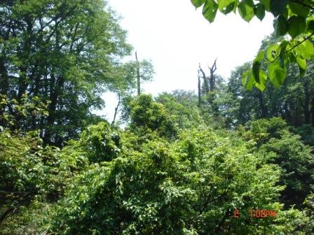 2007-5/200752311512598462.jpg