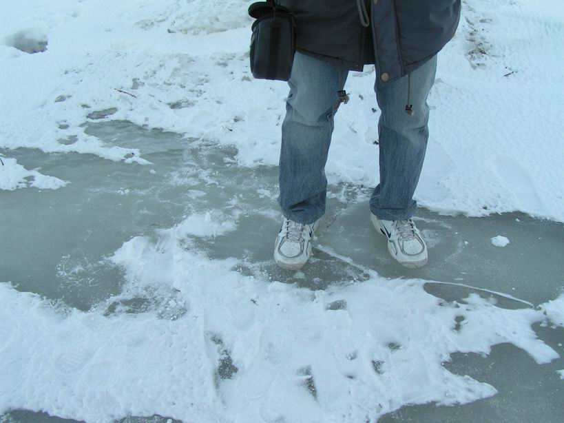 2007-5/20075823294364195.jpg