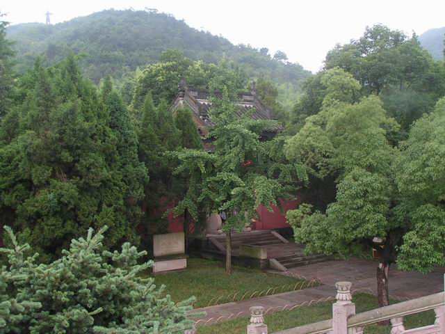 2007-6/200761513311324080.jpg