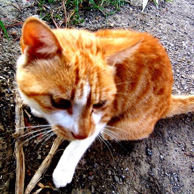 100_4736.jpg
