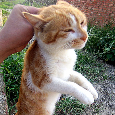 100_4734.jpg