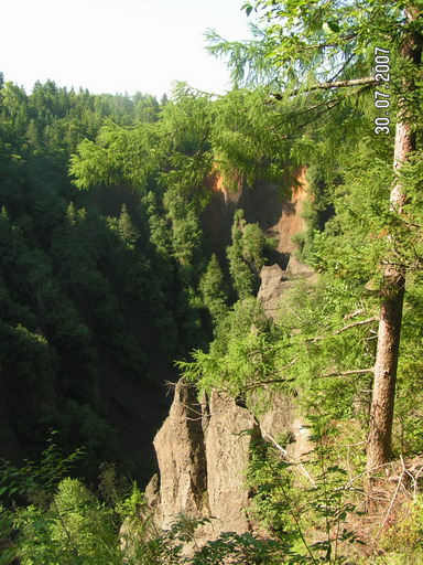 2007_08020033.jpg