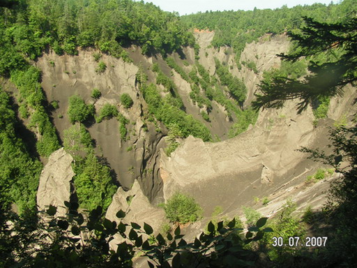 2007_08020037.jpg