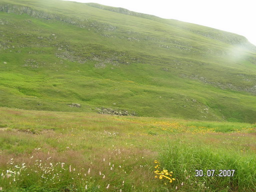 2007_08020050.jpg