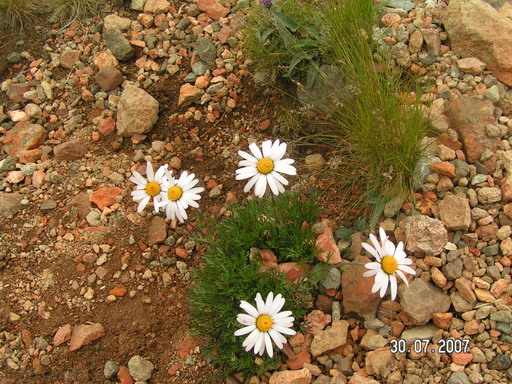 2007_08020066.jpg