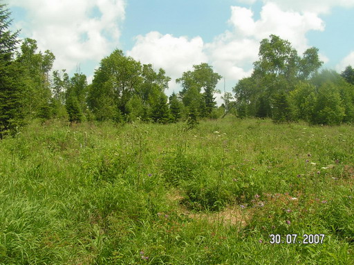 2007_08020087.jpg
