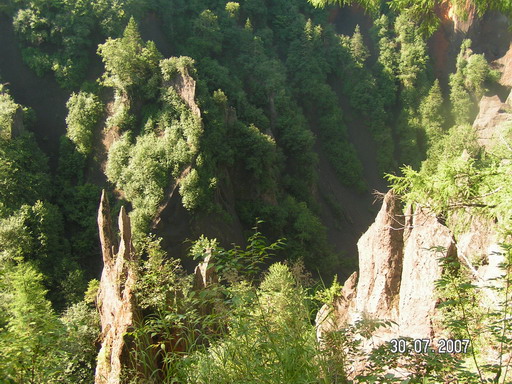 2007_08020032.jpg