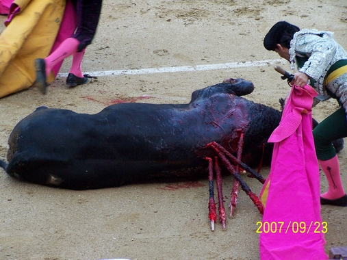 С 100b4981.jpg