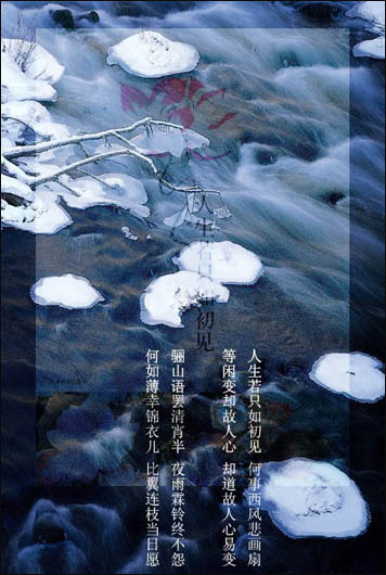 forest flowers.jpg