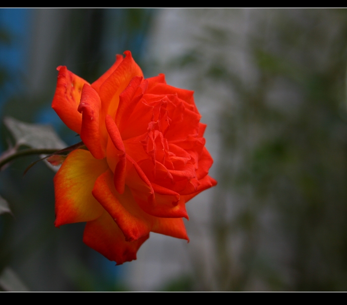 img_4216.jpg