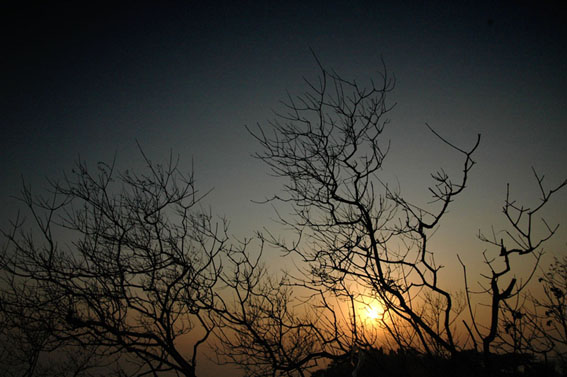 dsc_0100С.jpg