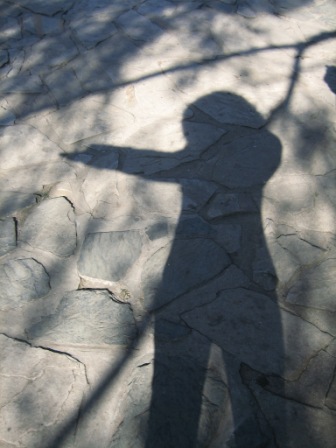Ƭ2008.1.09 152.jpg