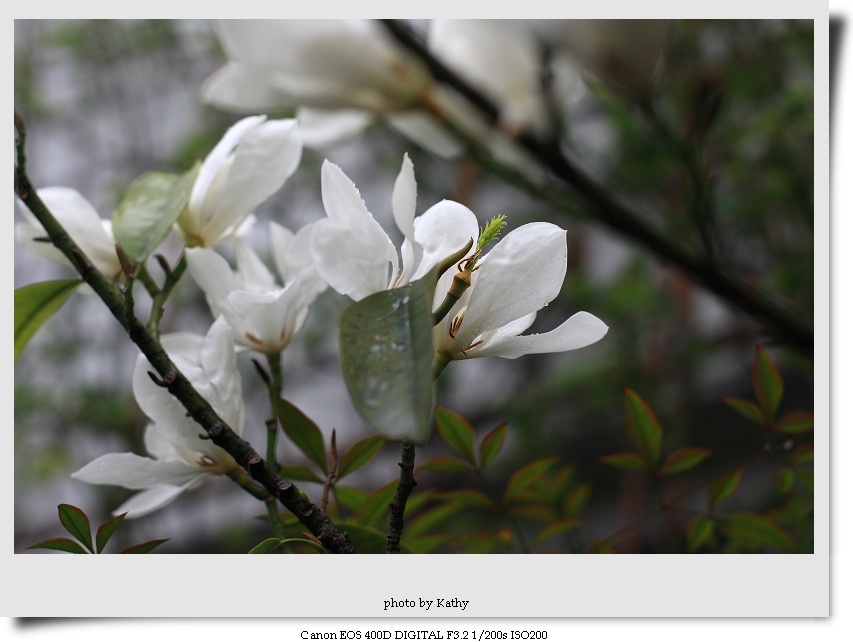 img_5664-1.jpg