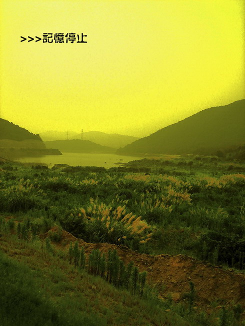 ֹͣ-2008.jpg