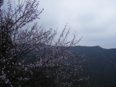 dscf0402.jpg