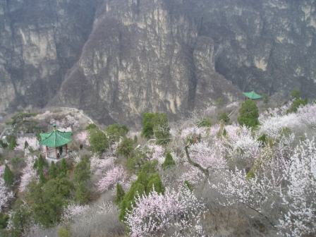 p1010047.jpg