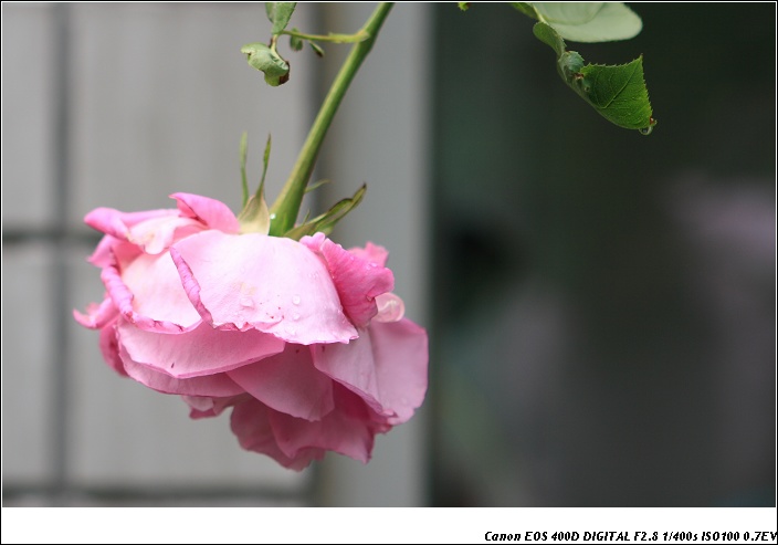 img_6677-1.jpg